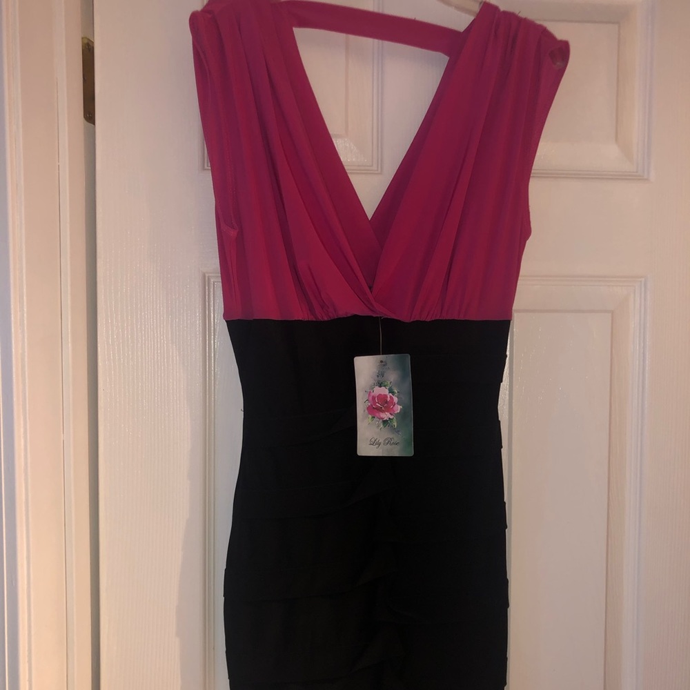 Small Pink/Black Dress